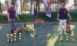 K9 köpeklerinden gururlandıran başarı: 7 ödülle döndüler