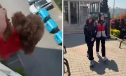 Köpeği camdan sarkıtıp 'Hadi kurtarın' diyen kadın gözaltında!