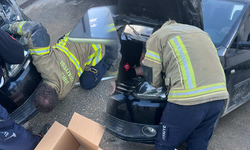 Bursa İnegöl'de yürek ısıtan kedi kurtarma operasyonu