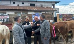 Türkiye’de Kayapınar Köyü’nde Bir İlk: Kurban Festivali ilgi odağı oldu