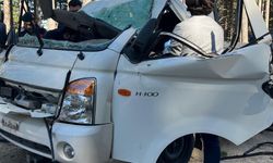 Bursa'da ormanda feci ölüm