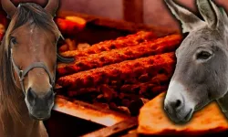 Yine aynı il yine aynı skandal! Vatandaşa at ve eşek eti yedirdiler