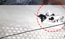 Kız meselesi kavgası: 6 yerinden bıçaklandı