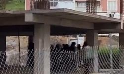Bursa Osmangazi’de inşaat alanında sopalı kavga: İşçiler birbirine girdi