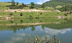 Bursa Büyükorhan'da arkadaşlarıyla girdiği gölette can verdi