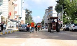 Bilecik'te çim biçme ve ilaçlama çalışmaları hız kazandı