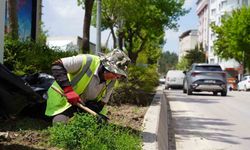 Bilecik'te park ve bahçeler müdürlüğünden yaza hazırlık çalışmaları