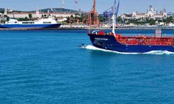 İstanbul Boğazından yunus sürüsüyle Kurban bayramı manzarası