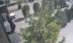 Maltepe'de 'kargoyla' uyuşturucu teslimatına baskın: 5 bin 400 gram marihuana ele geçirildi