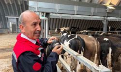 Müdür Düzgün: '256 kesim yeri için onay verildi'