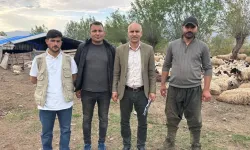 Türkiye’de bir ilk! Afganistan’dan çoban getirildi, asgari ücret alacaklar