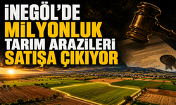 İnegöl'de milyonluk tarım arazileri satışa çıkıyor