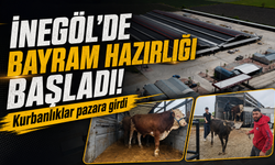 Bursa İnegöl'de hayvan pazarına kurbanlık girişleri başladı