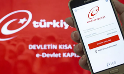 e-Devlet'te işlemi olanlar dikkat! Erişim kısıtlaması geliyor