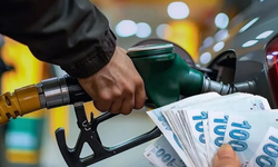 Mazota dev indirim! 70 TL'nin altına indi