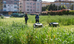 Tuzla'da robotlu çim biçme dönemi başladı