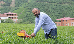 Çay üreticileri yaş çay alım fiyatındaki artış sonrası kuru çaya da zam bekliyor