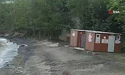 Kediye çarpmamak için direksiyonu kırdı, plaja uçtu