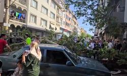 Bursa’da seyir halindeki araçların üzerine ağaç devrildi!