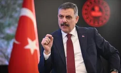Bakan Çiftçi tarih verdi: Sokak köpeklerinin hepsini toplatacağım