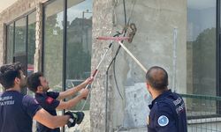 Bursa Nilüfer'de iş yerine giren yılan paniğe neden oldu