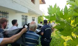 Sakarya'da Ihlamur toplamak için çıktığı ağaçtan düşerek hayatını kaybetti