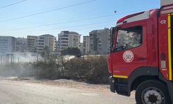Bursa'da otluk alanda çıkan yangın korkuttu