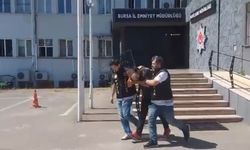 Bursa'da 33 yıl hapisle aranıyordu, kayısı toplarken yakalandı