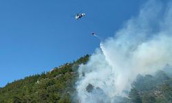 Bursa'da ormanlık alanda yangın