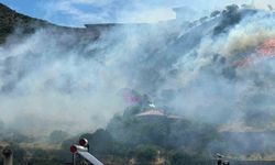 Ayvacık'ta makilik alanda yangın çıktı