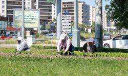 Bu yaz Osmangazi'de çiçek kokuları eksik olmayacak