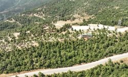 Gürsu Mesire alanı yeniden açılıyor