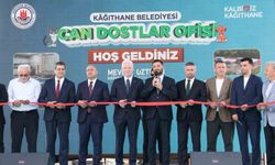 Kağıthane'de sokak hayvanları için 10 dönümlük dev rehabilitasyon merkezi hizmete açıldı