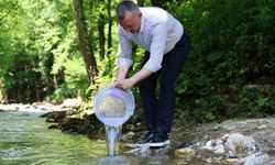 Kocaeli sularına 50 bin kırmızı benekli alabalık dopingi