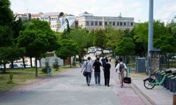 Kocaeli Üniversitesi'nde sahipsiz köpekler azaldı, öğrencilerin endişesi bitmedi