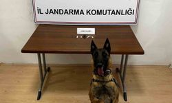 Motosikletli uyuşturucu sevkiyatına operasyon: 2 şüpheli yakalandı