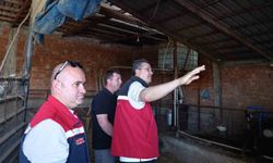 Tekirdağ'da hayvancılık faaliyetleri yerinde incelendi