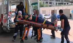 Bursa İnegöl'de bahçedeki erik toplama mesaisi kabusa döndü