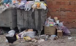 Bursa Mustafakemalpaşa'da 2 haftadır alınmayan çöpler tepki çekti