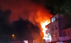 Bursa Nilüfer'de geceyi alevler aydınlattı
