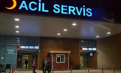 Bursa İnegöl'de ormandan topladığı mantar hastanelik etti