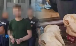Evinden insan kalıntıları çıktı! "Yemek hazırlayıp yedim"