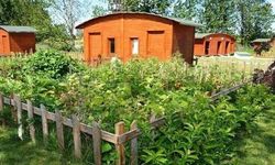 Hobi Bahçesi Olan Yaşadı! Yasak Sonrası Değeri Katlandı