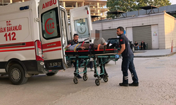 Bursa İnegöl'de kiraz ağacı yine can yaktı