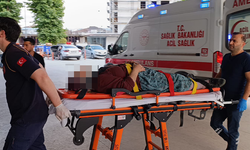 Bursa İnegöl'de kiraz ağacından düştü