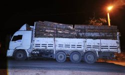 Bursa İnegöl'de 600 Bin TL'lik Kaçak Tomruk Vurgununa Jandarma Engeli