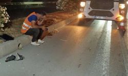 Kızını YKS’ye götürmek için yola çıktı, feci kazada hayatını kaybetti