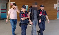 Bursa İnegöl'de Erik Bahçesinde Suçüstü! Yakalanan Hırsız Hastanelik Oldu