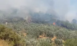 Tarım ve Orman Bakanlığı'ndan Bursa'daki orman yangınıyla ilgili açıklama!
