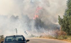 Bursa İznik'te korkutan yangın!